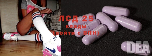 хмурый Дмитров