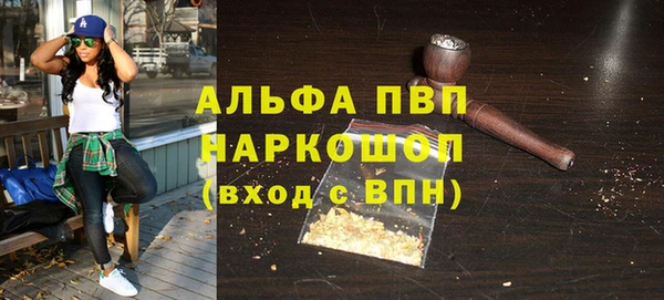 хмурый Дмитров