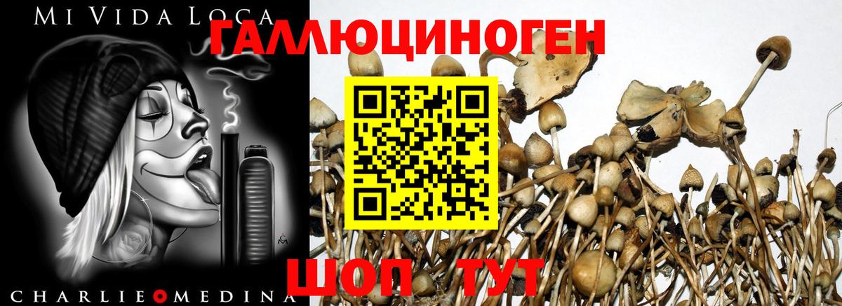 Псилоцибиновые грибы MAGIC MUSHROOMS Обь