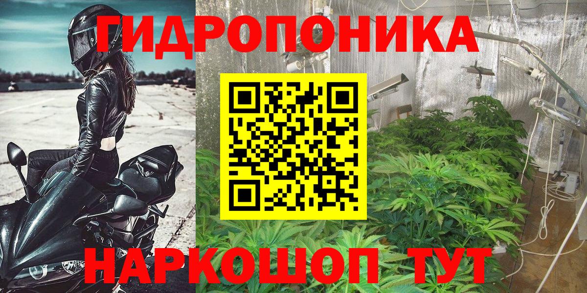 Бошки марихуана сатива Обь